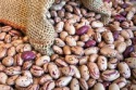 black beans, haricot beans, kidney beans, mung beans - product's photo