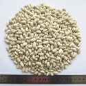 new crop white kidney beans baishake  - product's photo