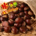 hebei fresh chestnuts--new crop - product's photo