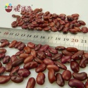 2016 small red kidney bean red bean kidney - product's photo