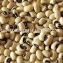 black eye beans south american - product's photo