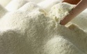 whole milk, dry skimmed and semi-skimmed milk powder - product's photo