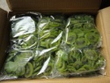 hot selling dried kiwi fruit in sweet with factory price - product's photo