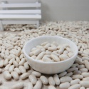 white kidney beans specification of white butter beans - product's photo