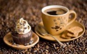 green bean coffee - product's photo
