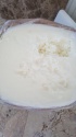 refined edible beef tallow food grade  - product's photo