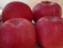 fresh apples fruits - product's photo