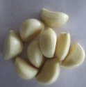 garlics - product's photo