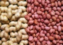 peanut kernal - product's photo