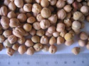 garbanzo beans - product's photo