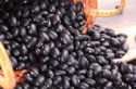 new crop black kidney bean - product's photo