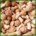 iqf cultivated raw brown frozen mixed mushrooms - product's photo