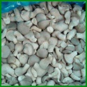 factory price raw oyster mushroom whole - product's photo