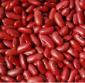 new crop white / red / black kidney beans - product's photo
