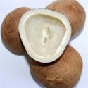 dried coconut copra - product's photo