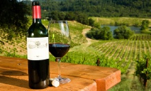 georgian wine export  - новости на портале Buy-foods.com