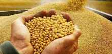 in january 2017 the key exporters of soybean oil have reduced shipments - новости на портале Buy-foods.com