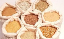 review of the world grain market in march - новости на портале Buy-foods.com