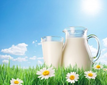 the world milk market - новости на портале Buy-foods.com
