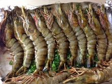 vietnamese shrimp exports slowed at the beginning of the year - новости на портале Buy-foods.com