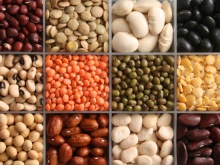 world market of legumes - новости на портале Buy-foods.com