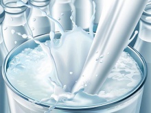 the wholesale prices for dairy products  - новости на портале Buy-foods.com