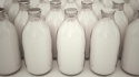 european dairy market: forecasts for the first half of 2017 - news on Buy-foods.com